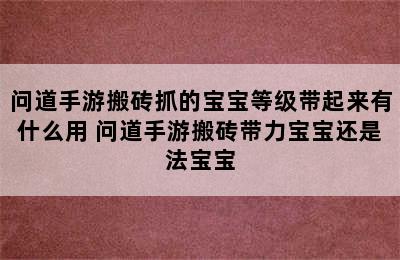 问道手游搬砖抓的宝宝等级带起来有什么用 问道手游搬砖带力宝宝还是法宝宝